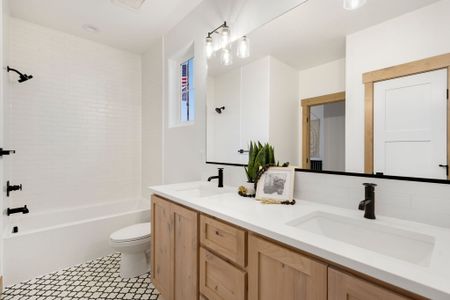 New construction Single-Family house 948 Rhapsody Dr, Windsor, CO 80550 plan Adeline 55 - image