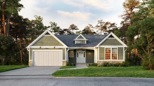 New construction Single-Family house 621 Plantation Drive, Santee, SC 29142 - photo 0