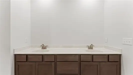 New construction Single-Family house 29 Primrose Dr, Dallas, GA 30132 plan Orchard - image 6