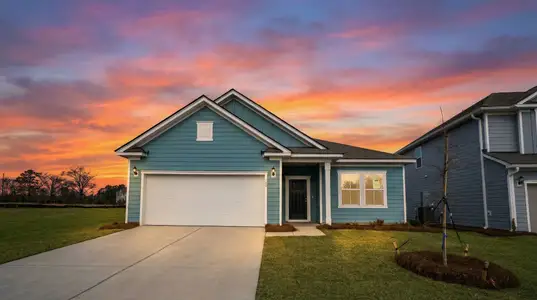 New construction Single-Family house 145 Monroe Preserve Dr, Chapin, SC 29036 plan Morgan - image