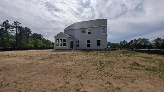 New construction Single-Family house 336 Palfrey Dr, Ridgeville, SC 29472 plan Davidson - image