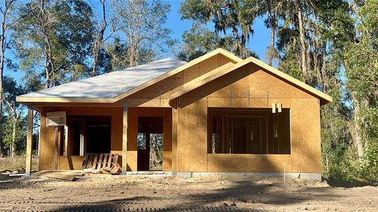 New construction Single-Family house 14173 Se 41St Terrace, Summerfield, FL 34491 - photo 0