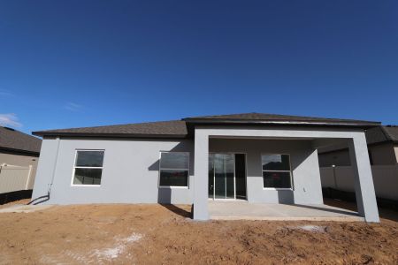 New construction Single-Family house 12263 Hilltop Farms Dr, Dade City, FL 33525 Sentinel- photo 73 73