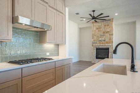 New construction Single-Family house 2044 Toscano Wy, Kerrville, TX 78028 - image 9