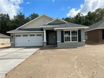 New construction Single-Family house 195 Bittern Loop, Inverness, FL 34453 1720- photo 0