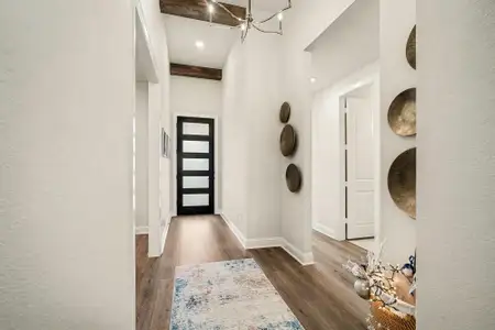 Lakes of Cane Island - 45' by Drees Custom Homes in Katy - image 4