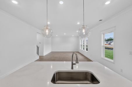 New construction Single-Family house 153 Yuma Ln, White House, TN 37188 plan The Winston - image 14