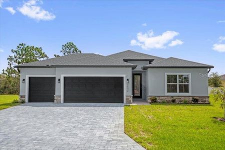 New construction Single-Family house 14733 Sw 21 Ter, Ocala, FL 34473 - image
