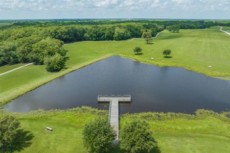 New construction Single-Family house 1110 Pecan Harvest Dr, Beasley, TX 77417 Whitetail- photo 13 13