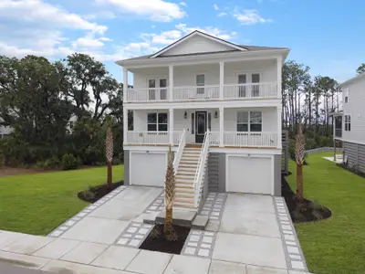 New construction Single-Family house 2276 Minifarm Wy, Mount Pleasant, SC 29466 plan Wando - image