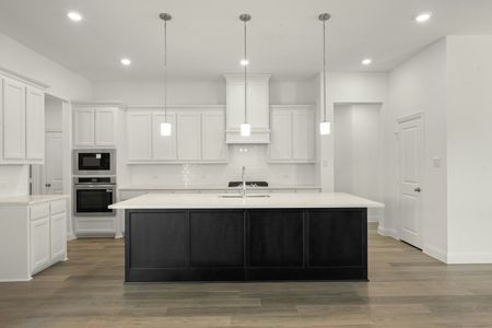 New construction Single-Family house 721 Stone Eagle Dr, Azle, TX 76020 plan Agave Single Story - image 10