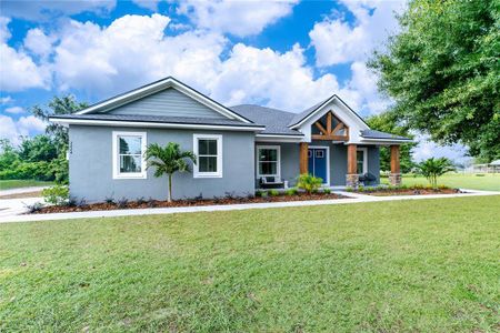 New construction Single-Family house Castlewood Road, Seffner, FL 33584 - photo 0