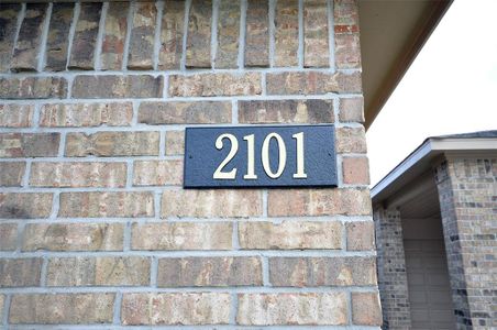New construction Single-Family house 2101 Palmilla Rd, League City, TX 77539 null- photo 44 44