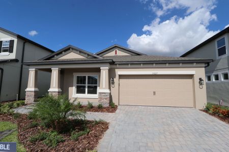 New construction Single-Family house 33227 Amling Pecan Br, Wesley Chapel, FL 33545 Newport II- photo 76 76