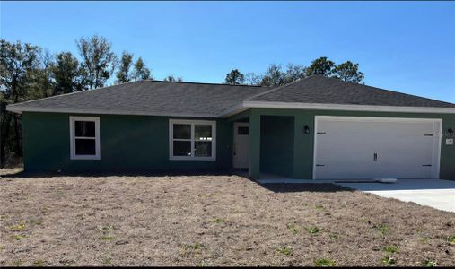 New construction Single-Family house 10304 Se 126Th Ln, Belleview, FL 34420 - image