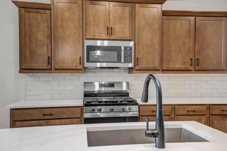 New construction Single-Family house 865 W Finch Dr, Queen Creek, AZ 85140 plan Amethyst - image 10