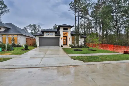 New construction Single-Family house 29850 Amber Brook Dr, Magnolia, TX 77354 plan 2545W - image