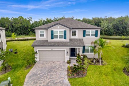 New construction Single-Family house 10742 New Morning Dr, Tampa, FL 33647 - image