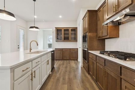 New construction Single-Family house 1090 Foxtail Dr, Justin, TX 76247 plan Dublin - image 8