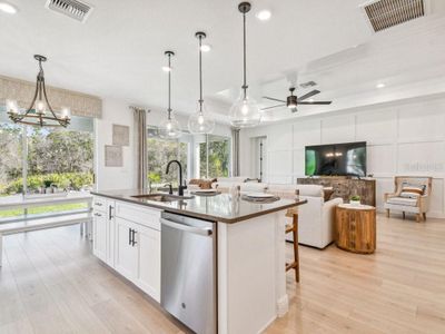 New construction Single-Family house 11324 Striped Bass Ct, New Port Richey, FL 34654 - image 4