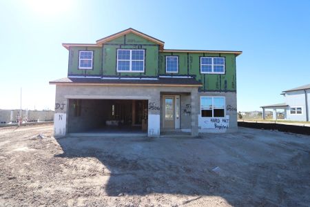 New construction Single-Family house 5707 Maydale Ave, Wesley Chapel, FL 33545 Sonoma II- photo 50 50