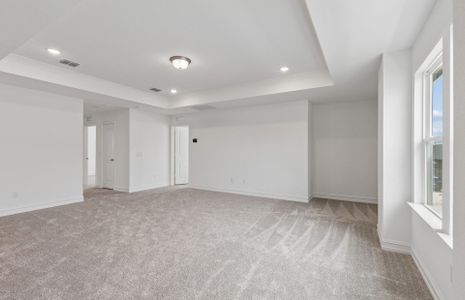New construction Single-Family house 8717 Leafy Ln, Justin, TX 76247 plan Sweetwater - image 18