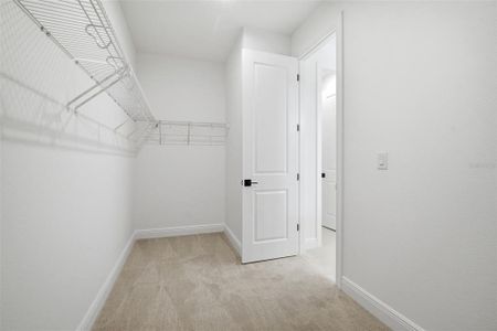 New construction Single-Family house 11834 Richmond Trl, Parrish, FL 34219 plan Northwood 3.0 - image 17