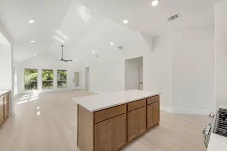 New construction Single-Family house 1951 Evergreen Ln, Glenn Heights, TX 75154 plan Hawthorne - image 8