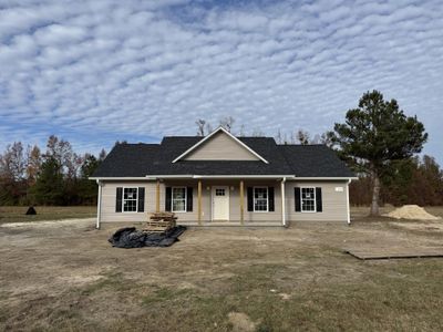 New construction Single-Family house 153 Dandelion Court, Round O, SC 29474 - photo 0