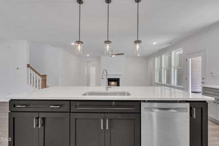 New construction Single-Family house 9152 Dupree Meadow Dr, Angier, NC 27501 plan The Highland - image 8