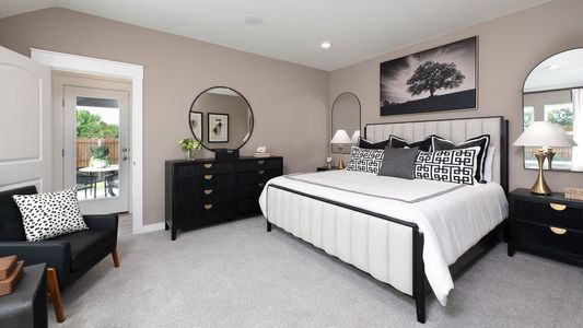 New construction Single-Family house 141 John Laurens Dr, Venus, TX 76084 plan Paramount - image 10