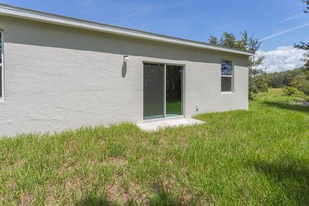 Covered Bridge at Liberty Bluff by Stanley Martin Homes in Haines City - photo 12 12