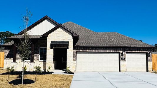 New construction Single-Family house 175 Sycamore Ct, Lumberton, TX 77657 plan Newburgh - image