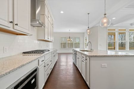 New construction Single-Family house 1041 Sage Pine Cir, Clover, SC 29710 plan Princeton - image 9