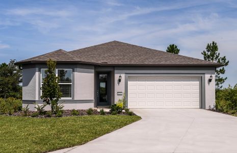 New construction Single-Family house 5325 SW 81st Pl, Ocala, FL 34481 Cresswind- photo 0