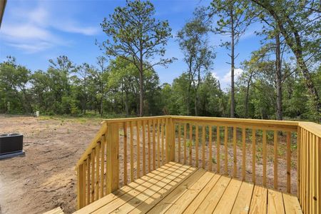 New construction Manufactured Home house 12671 Ne 16Th St, Williston, FL 32696 - image