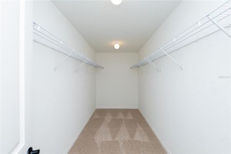 New construction Single-Family house 245 Harper Estates Cir, Lake Wales, FL 33859 - image 12