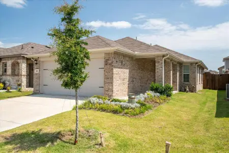 New construction Single-Family house 900 Shear Dr, Josephine, TX 75189 plan 3202 Patterson - image
