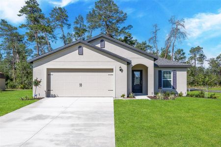 New construction Single-Family house 16448 Sw 17Th Terrace Road, Ocala, FL 34473 - photo 0