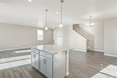 New construction Single-Family house 18029 Dandy Brush Ln, Parker, CO 80134 ELDER II- photo 15 15