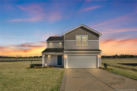 New construction Single-Family house 208 Buggy Top Ln, Autryville, NC 28318 - image