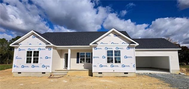 New construction Single-Family house 52 Roll Tide Court, Angier, NC 27501 - photo 0