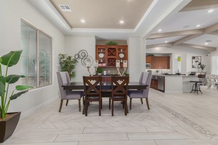 New construction Single-Family house 21094 E Orion Ct, Queen Creek, AZ 85142 plan Amarante - image 5