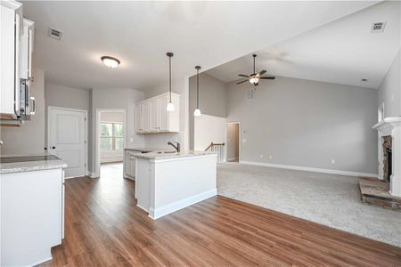 New construction Single-Family house 5995 Crowley Dr, Douglasville, GA 30135 TOPEKA- photo 10 10