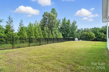 New construction Single-Family house 110 Still Creek Dr, Mooresville, NC 28115 - image