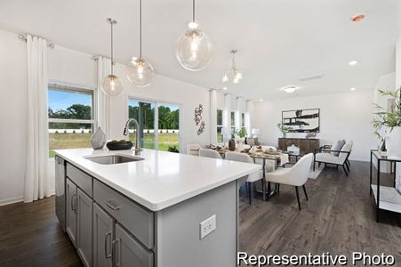 New construction Single-Family house 312 Jubilee Wy, Pageland, SC 29728 plan The Reeves - image 4