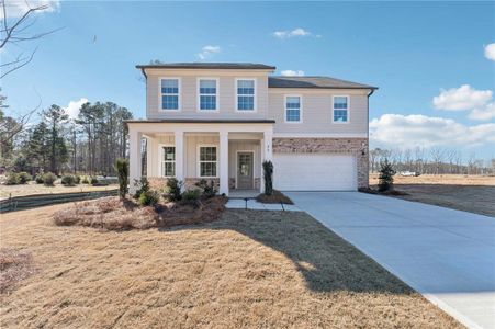 New construction Single-Family house 29 Maple Grove Pkwy, Dallas, GA 30157 - image