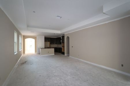 New construction Single-Family house 20339 Oriana Loop, Land O' Lakes, FL 34638 Newport II- photo 87 87