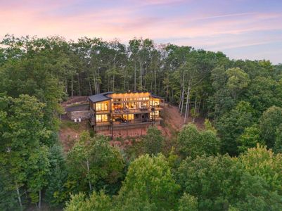 New construction Single-Family house 417 Bill Claypool Dr, Blue Ridge, GA 30513 - image