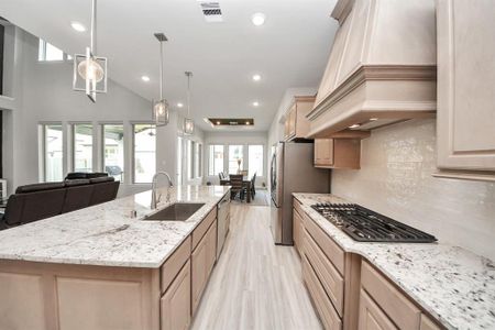 New construction Single-Family house 10015 Crescent Wood Dr, Missouri City, TX 77459 Anahuac (3624-HL-60)- photo 14 14